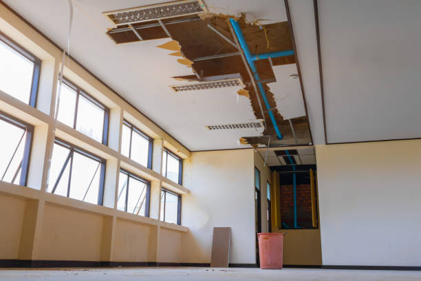 Best Fire Damage Restoration  in Williston, ND