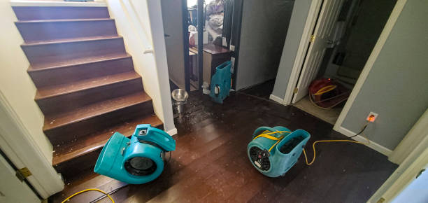 Best Water damage restoration services  in Williston, ND