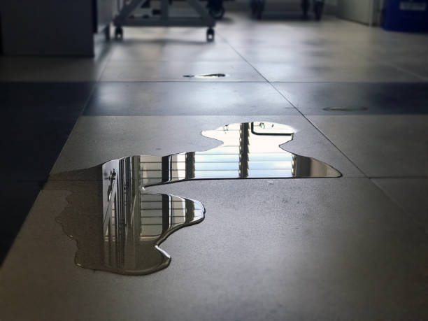 Professional Water damage restoration in ND