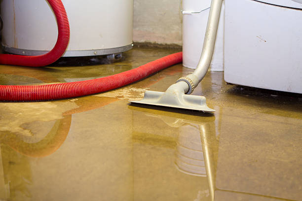 Best Water damage restoration near me  in Williston, ND