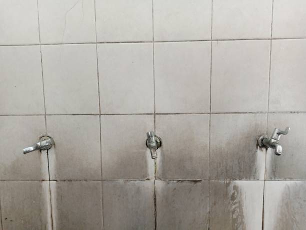 Best Local water damage restoration  in Williston, ND