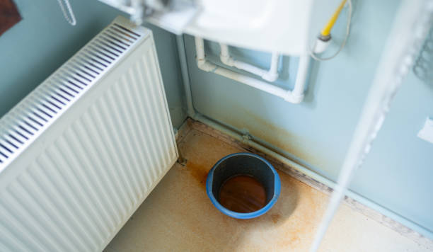 Best Water damage contractors near me  in Williston, ND