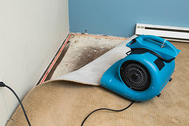 Best Flooded house restoration  in Williston, ND