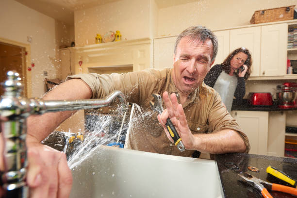 Best Carpet water damage restoration  in Williston, ND